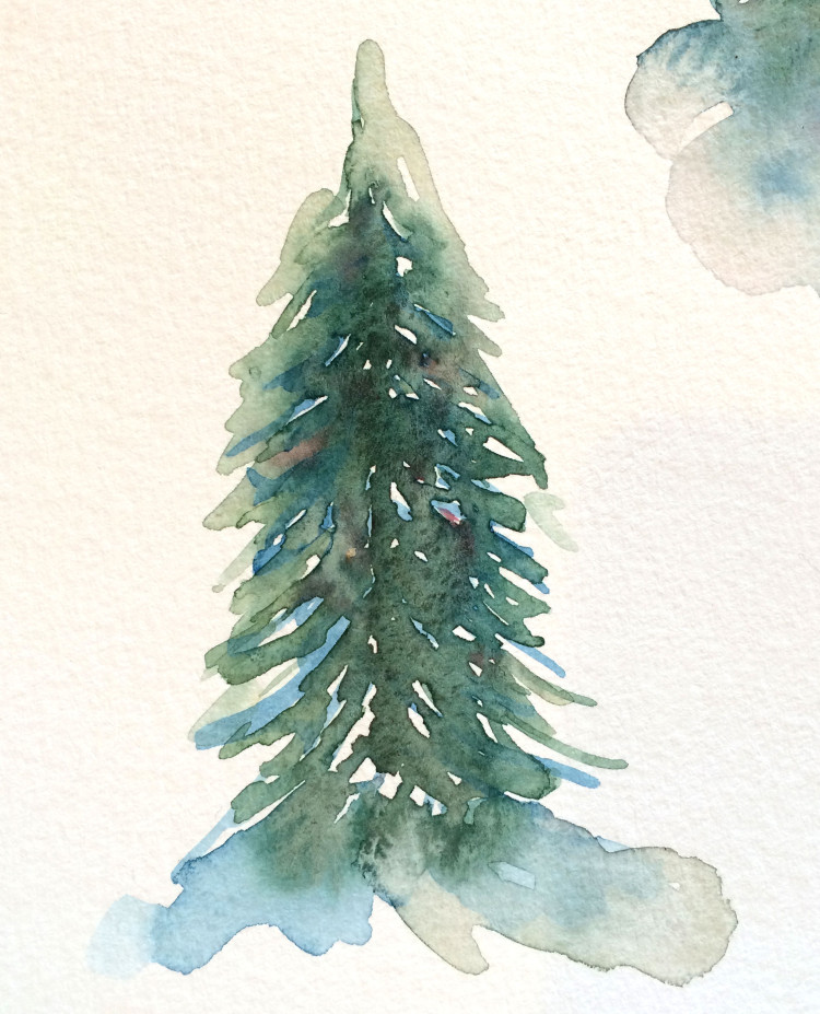 watercolor-pine-tree-3